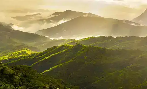 Hoabl Matheran